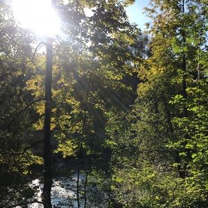 Meet your Posher, Gwen